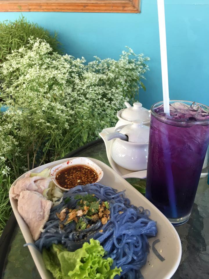 Blue noodles & drink made by butterfly flower 蝴蝶花做的藍色麵條和飲料