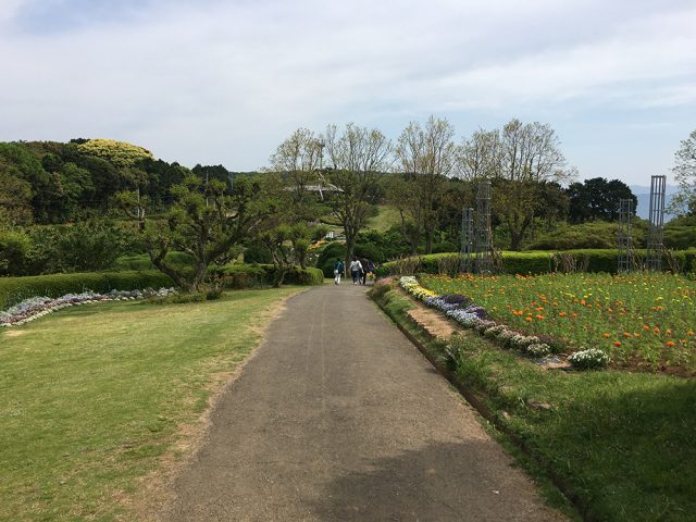 nokonoshima-island-park-(31)