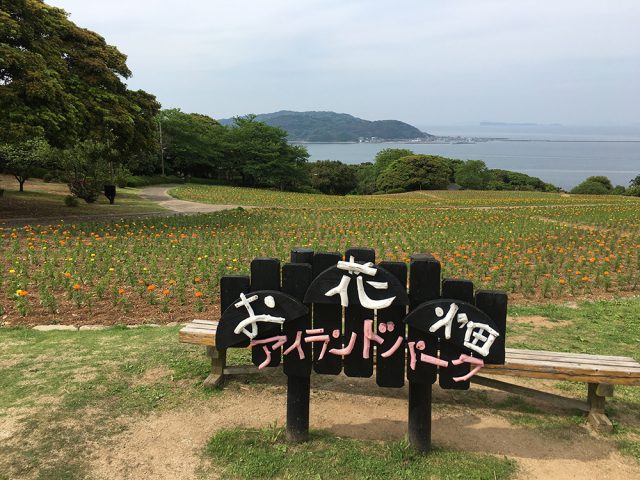 nokonoshima-island-park-(32)